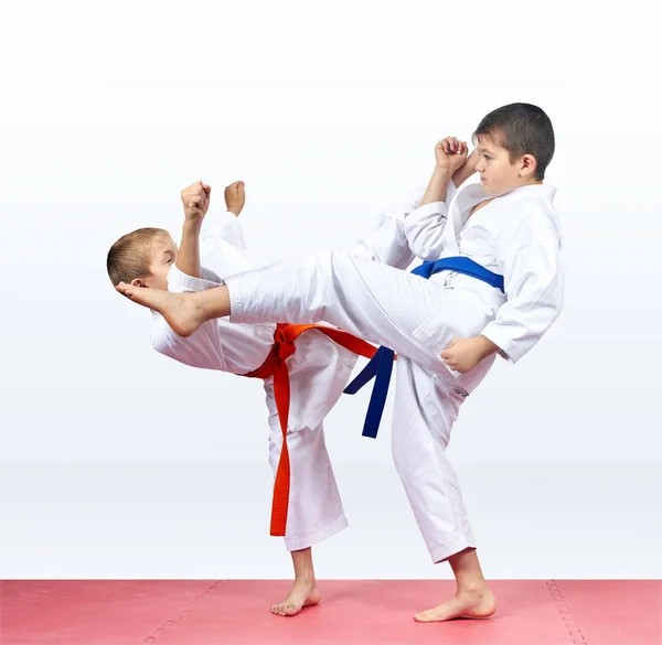 TBK-DO practitioners