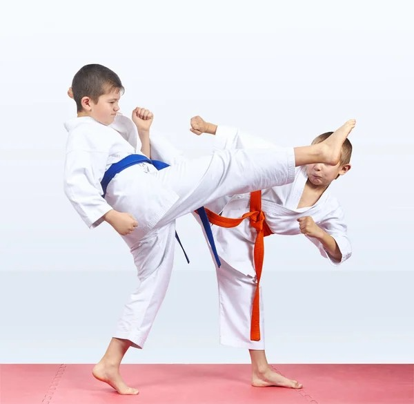 Special Self-Defence Training Camp